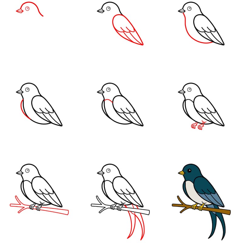 Simple swallow bird Drawing Ideas