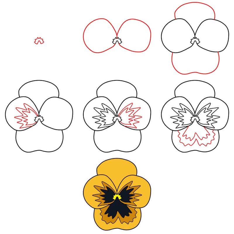 Single pansy Drawing Ideas
